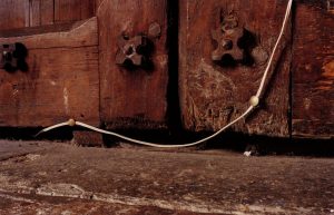 Peter Fraser (Nazraeli Press), Birdhouse