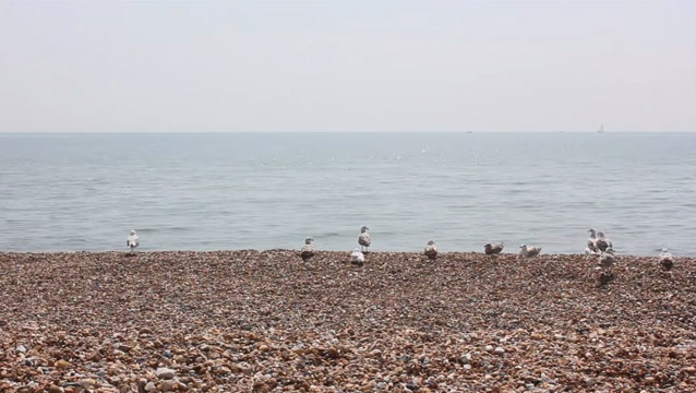 Still from Kinematograph film for Coastal Currents festival